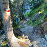 Waldweg zum Gantakopf im Montafon