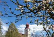 Blühende Oststeiermark: Aktiv- und Genussurlaub im Garten Österreichs Blühende Oststeiermark beim Apfelblütenfest in Puch. bei Weiz