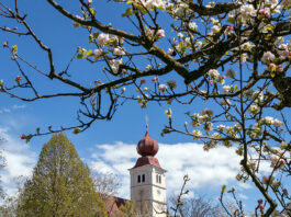 Blühende Oststeiermark: Aktiv- und Genussurlaub im Garten Österreichs Blühende Oststeiermark beim Apfelblütenfest in Puch. bei Weiz
