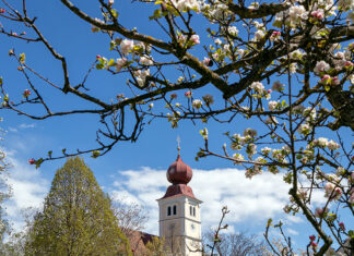 Blühende Oststeiermark: Aktiv- und Genussurlaub im Garten Österreichs Blühende Oststeiermark beim Apfelblütenfest in Puch. bei Weiz