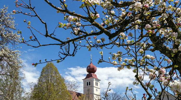 Blühende Oststeiermark: Aktiv- und Genussurlaub im Garten Österreichs Blühende Oststeiermark beim Apfelblütenfest in Puch. bei Weiz