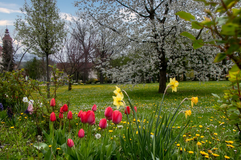 Blühender Schlosspark