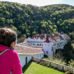 Blick auf Schloss Herberstein