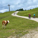 TP-Dachsteinrunde-MTB-web-3602