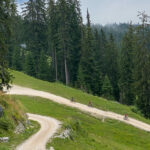 Mountainbike-Abfahrt von der Zwieselalm nach Gosau