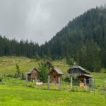 Rossalm auf der Dachsteinrunde Classic