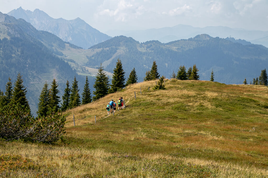 Geführte Wanderungen von Wagrain-Kleinarl Tourismus