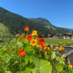TP-Wagrain-Kleinarl-Aktiv-und-Genussreise-small-i-2892
