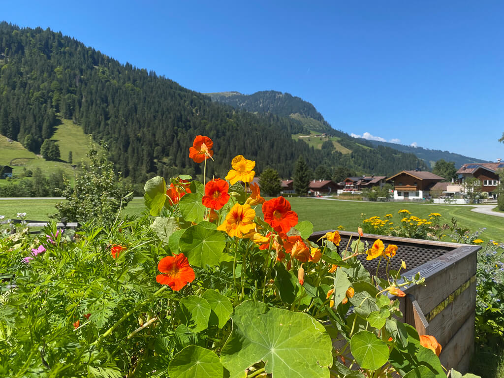 Hochbeete vor dem Hotel Lärchenhof in Kleinarl